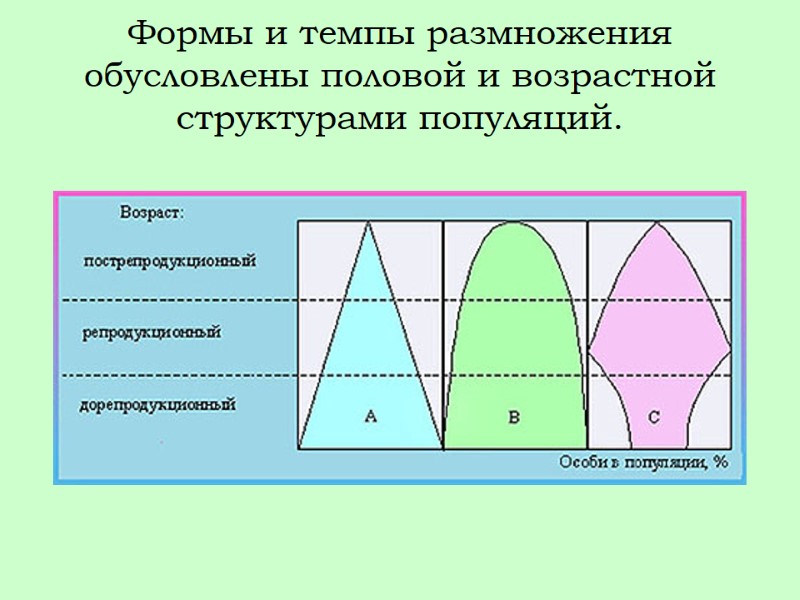 Формы и темпы размножения обусловлены половой и возрастной структурами популяций.